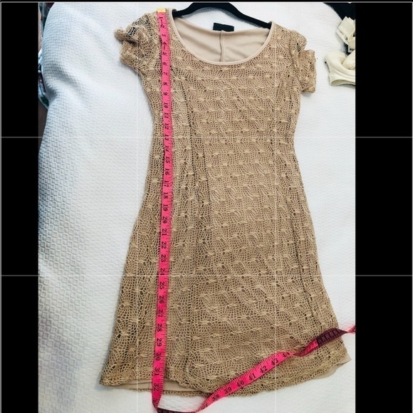 Rosegold Petite Tan Net Lace Overlay Dress - Picture 12 of 14